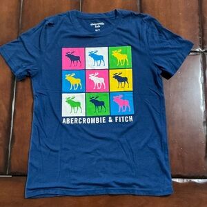 Abercrombie & Fitch Kids Multicolor Moose Graphic Tee
